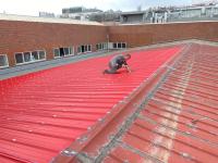 成霖-烤漆板更新