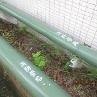 中科廠區-消防管噴字工程