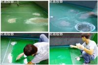 喬崴進-地面Epoxy修補