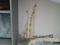 彰化中山路-抓漏壁癌處理